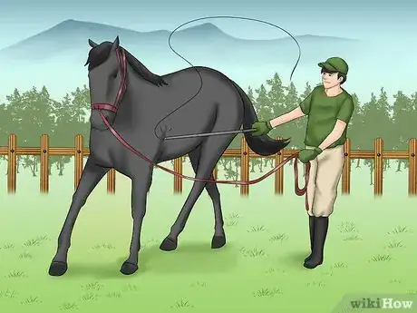 Image titled Teach Your Horse to Lunge Step 6