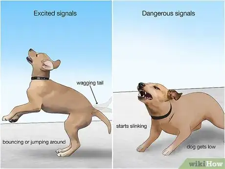 Image titled Remain Calm Around Aggressive Dogs Step 3