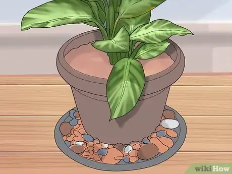 Image titled Remove Brown Tips From the Leaves of Houseplants Step 9
