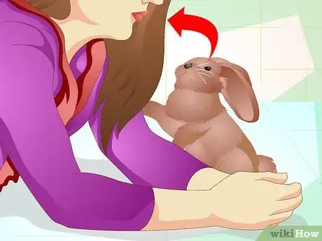 Image titled Make Your Bunny Come to You when You Open the Cage Step 8