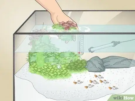 Image titled Do a Water Change in a Freshwater Aquarium Step 11
