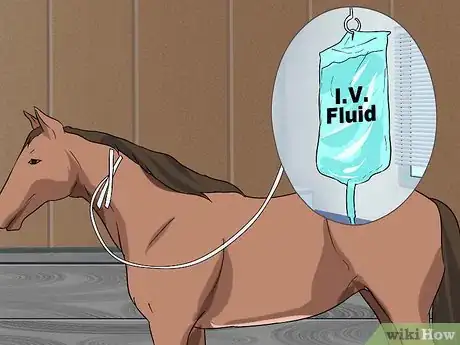 Image titled Recognize and Treat Colic in Horses Step 12