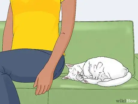 Image titled Give Your Cat a Massage Step 8