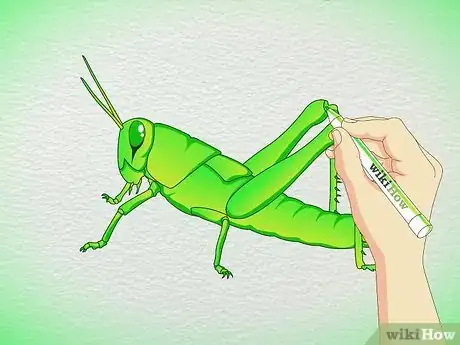 Image titled Draw a Grasshopper Step 5