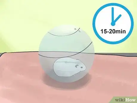 Image titled Know if a Hamster Is Right for You Step 12