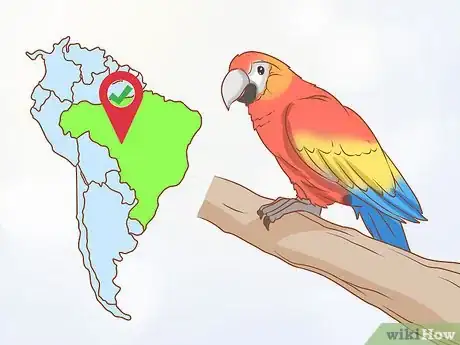Image titled Identify Parrots Step 12