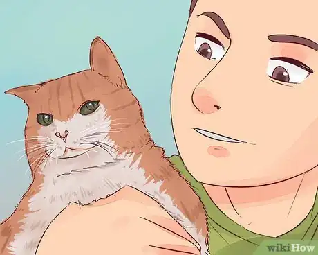 Image titled Know when to Euthanize Your Cat Step 15