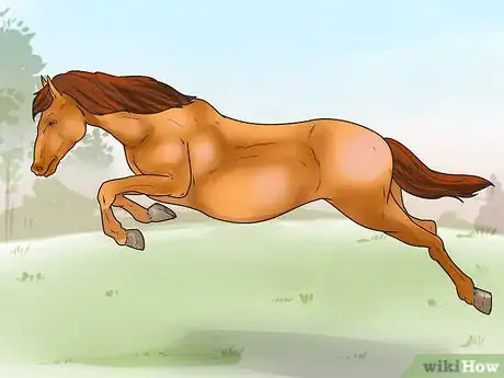 Image titled Tell if Your Horse Needs Hock Injections Step 6