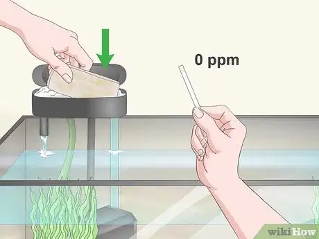 Image titled Test the Water in an Aquarium Step 10