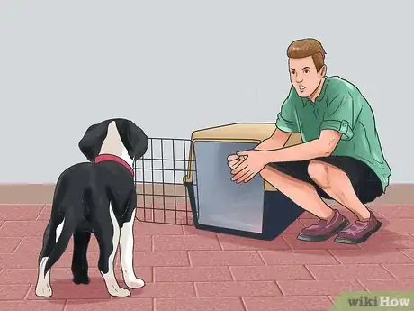 Image titled Teach Your Dog to Love the Crate Step 20