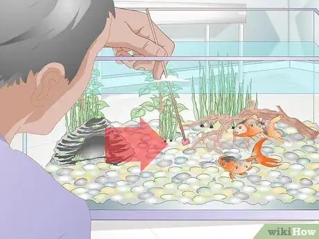 Image titled Play With a Goldfish Step 16