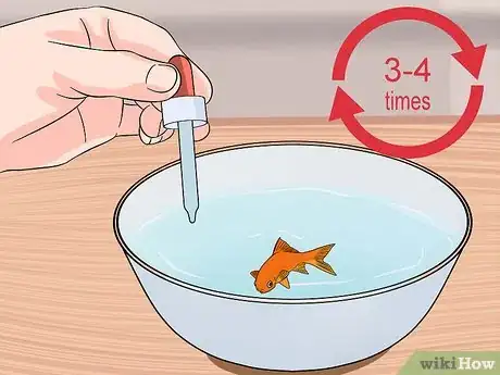 Image titled Cure Flukes in Goldfish Step 13