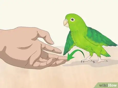Image titled Interact with Your Parrotlet Step 11