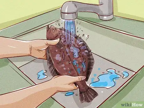 Image titled Clean Flounder Step 4