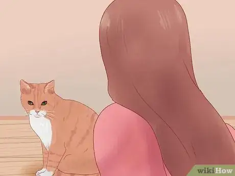 Image titled Get Your Cat to Come Inside Step 1