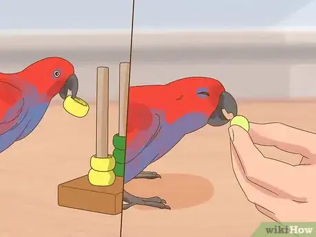 Image titled Play with a Large Parrot Step 11