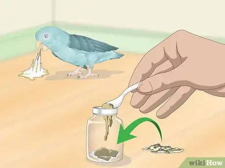 Image titled Spot Signs of Illness in Parrotlets Step 14