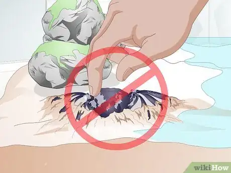 Image titled Take Care of a Purple Thai Devil Crab Step 11