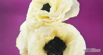 Make Tissue Paper Poppies