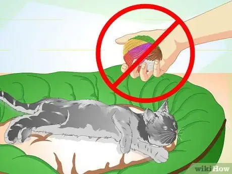 Image titled Care for Your Cat After Neutering or Spaying Step 9
