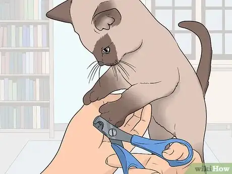 Image titled Raise a Cat Step 15