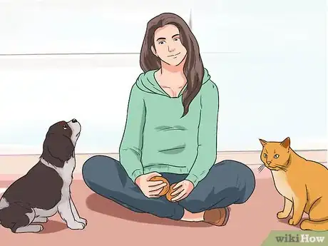 Image titled Train Your Dog to Not Run Away Step 9