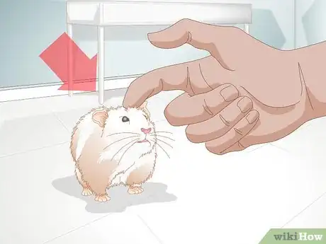 Image titled Trim Hamster Nails Step 1