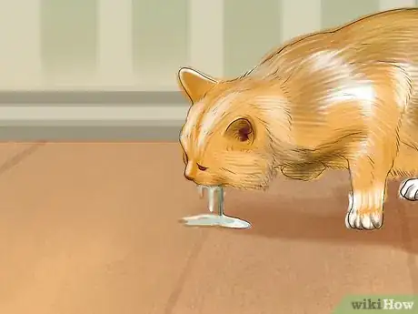 Image titled Stop Your Cat from Drooling Step 7