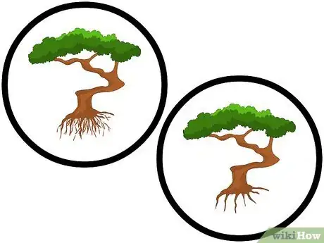 Image titled Repot Bonsai Trees Step 4