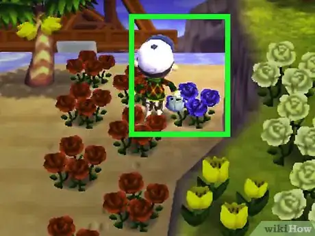 Image titled Get Blue Roses and Purple Pansies in Animal Crossing_ New Leaf Step 4