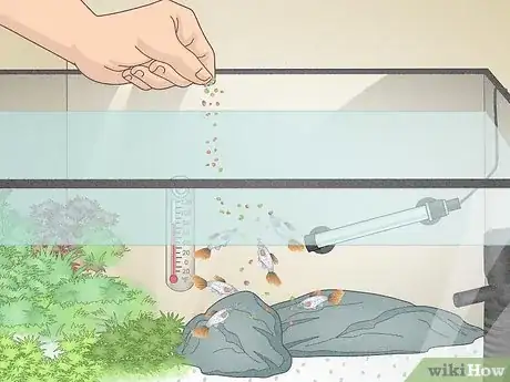 Image titled Do a Water Change in a Freshwater Aquarium Step 15