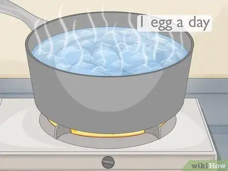 Image titled Cook Eggs for Dogs Step 1