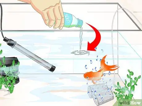 Image titled Cure Goldfish Ich Step 11
