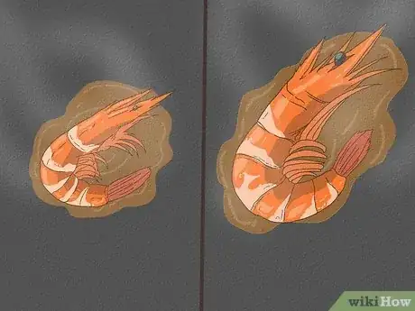 Image titled Tell if Shrimp Is Cooked Step 6