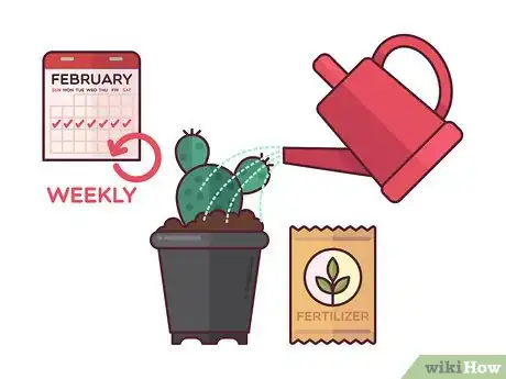 Image titled Grow Cactus Indoors Step 10