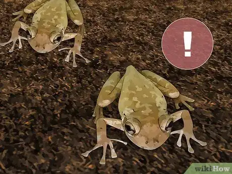 Image titled Find a Frog Step 16