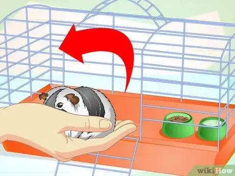 Image titled Clean a Guinea Pig Cage Step 2