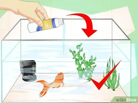 Image titled Revive a Goldfish Step 15