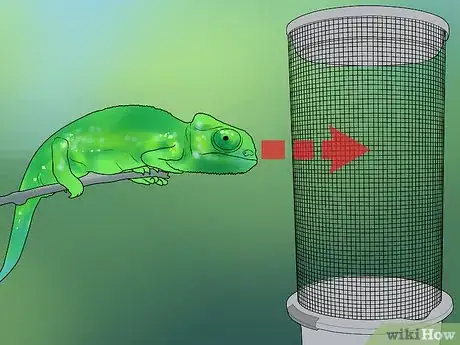 Image titled Build a Reptile Cage Step 1