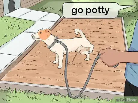 Image titled Get Your Dog to Pee on Command Step 6
