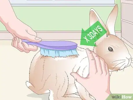 Image titled Keep Your Rabbit's Fur Clean and Untangled Step 18