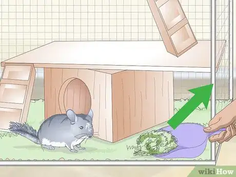Image titled Care for Chinchillas Step 8