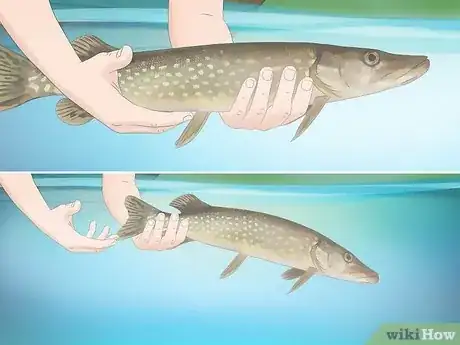 Image titled Hold a Fish Step 13