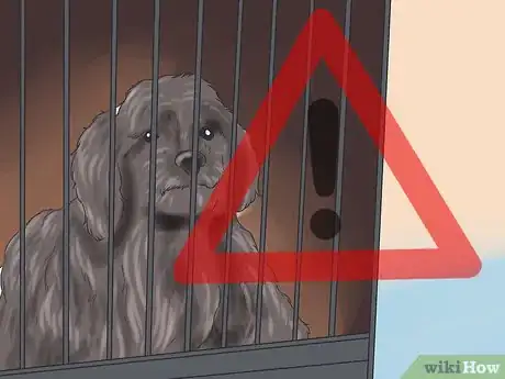 Image titled Teach Your Dog to Love the Crate Step 15