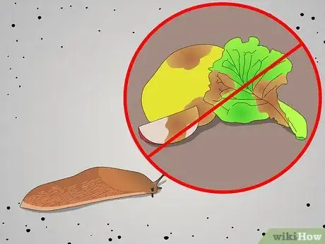 Image titled Keep Garden Slugs as Pets Step 5