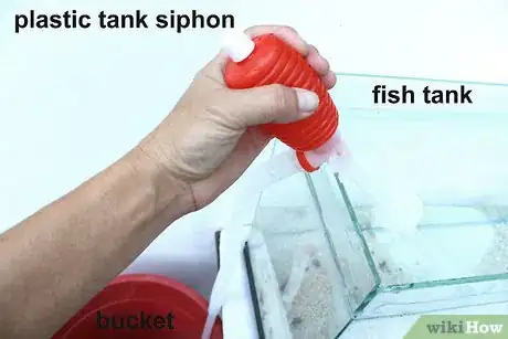 Image titled Clean a Small Fishtank Step 11