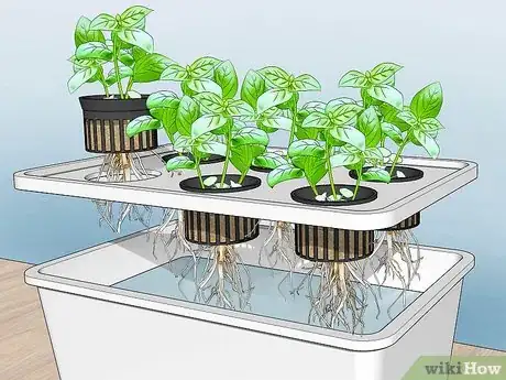 Image titled Grow Hydroponic Vegetables Step 2