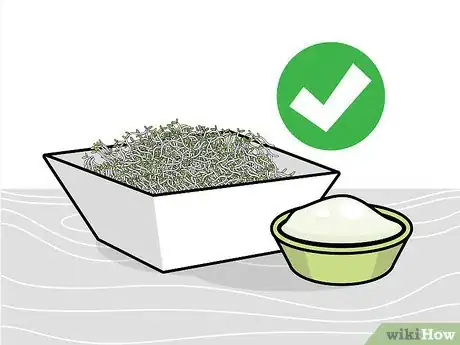 Image titled Grow Broccoli Sprouts Step 15