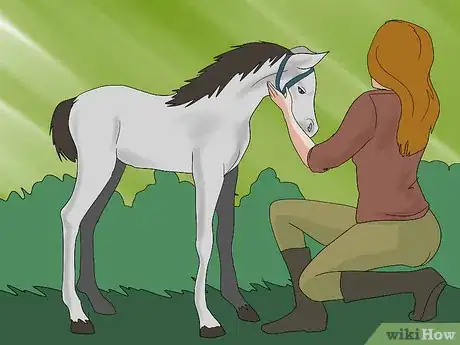 Image titled Teach a Foal to Lead Step 4