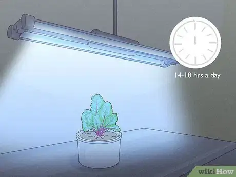Image titled Grow Vegetables With Grow Lights Step 5
